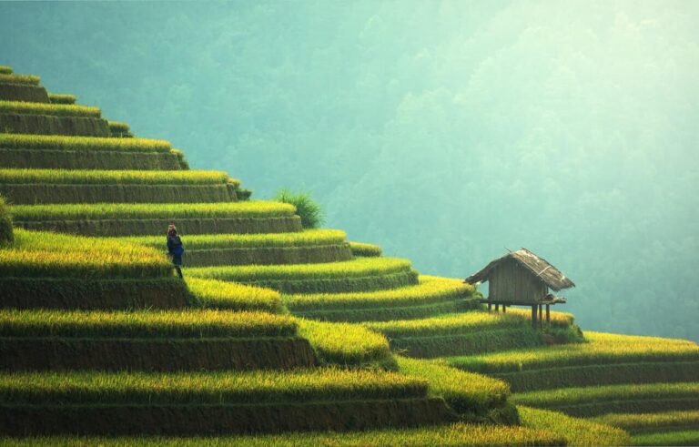 Blog thumbnail image